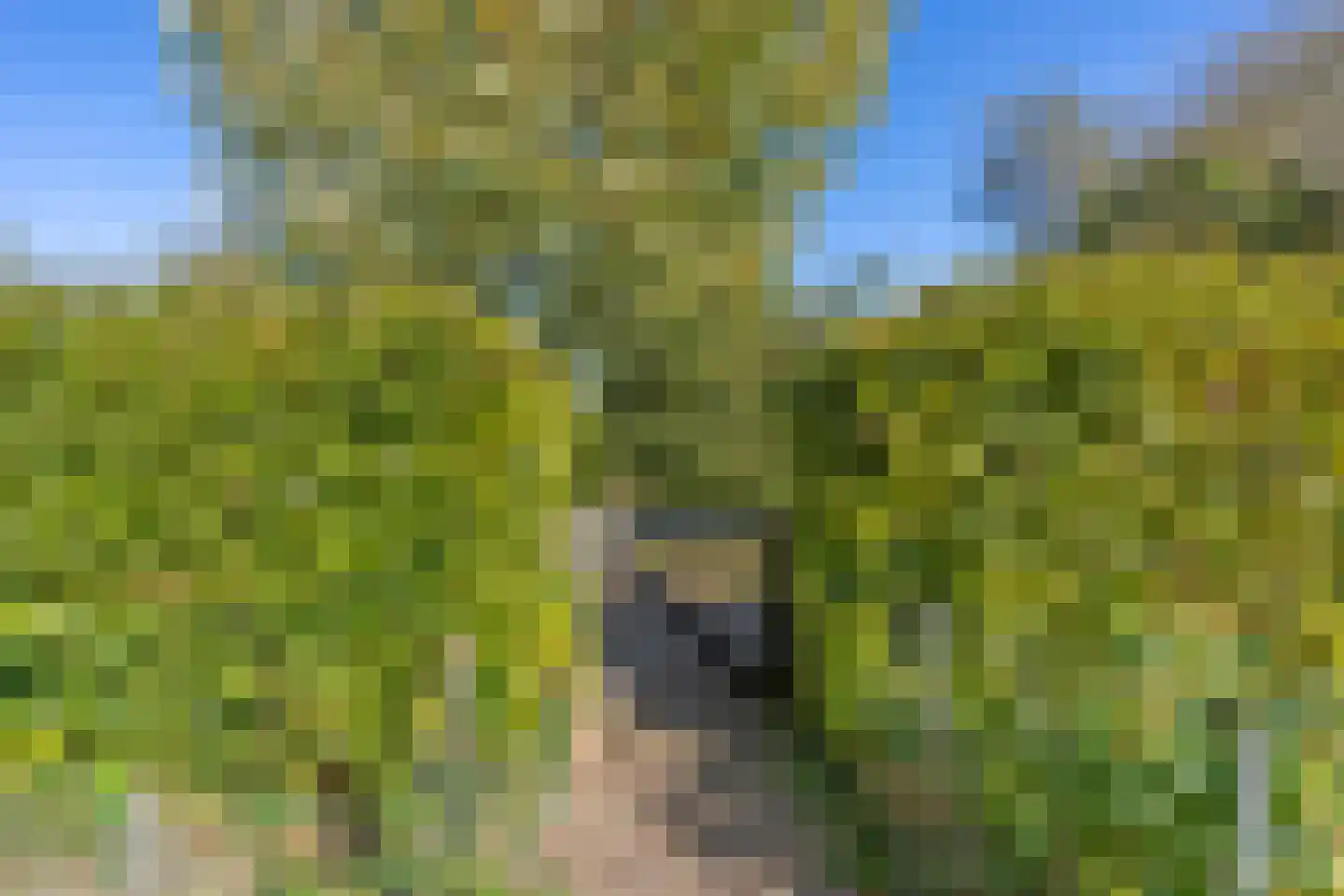 Oostereind 4 Grolloo thumbnail 14