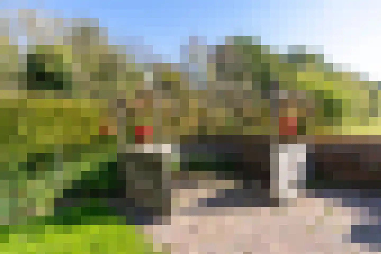 Oostereind 4 Grolloo thumbnail 18