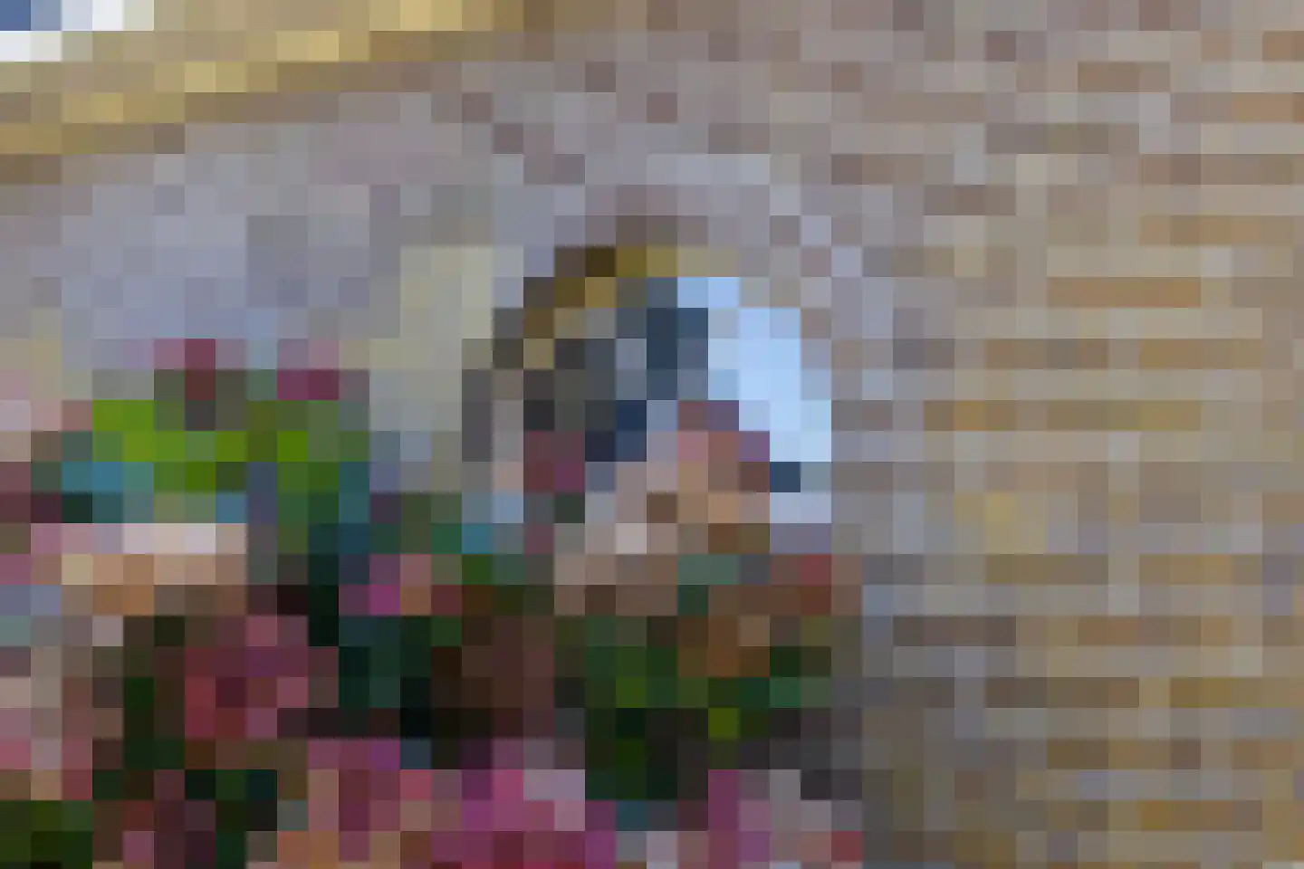 Oostereind 4 Grolloo thumbnail 20