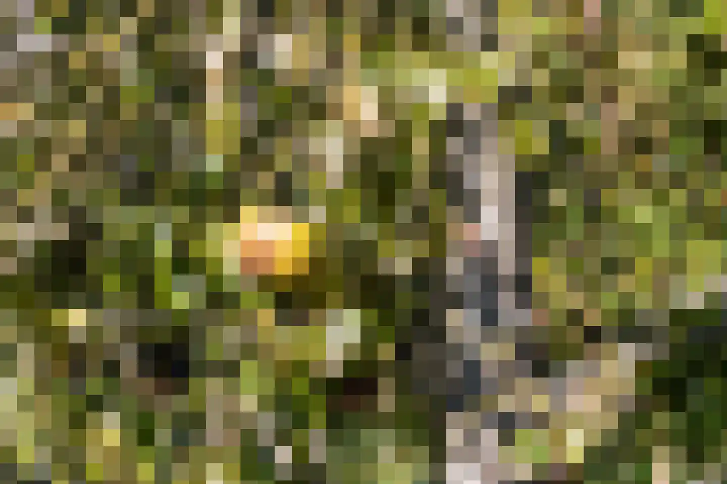 Oostereind 4 Grolloo thumbnail 22