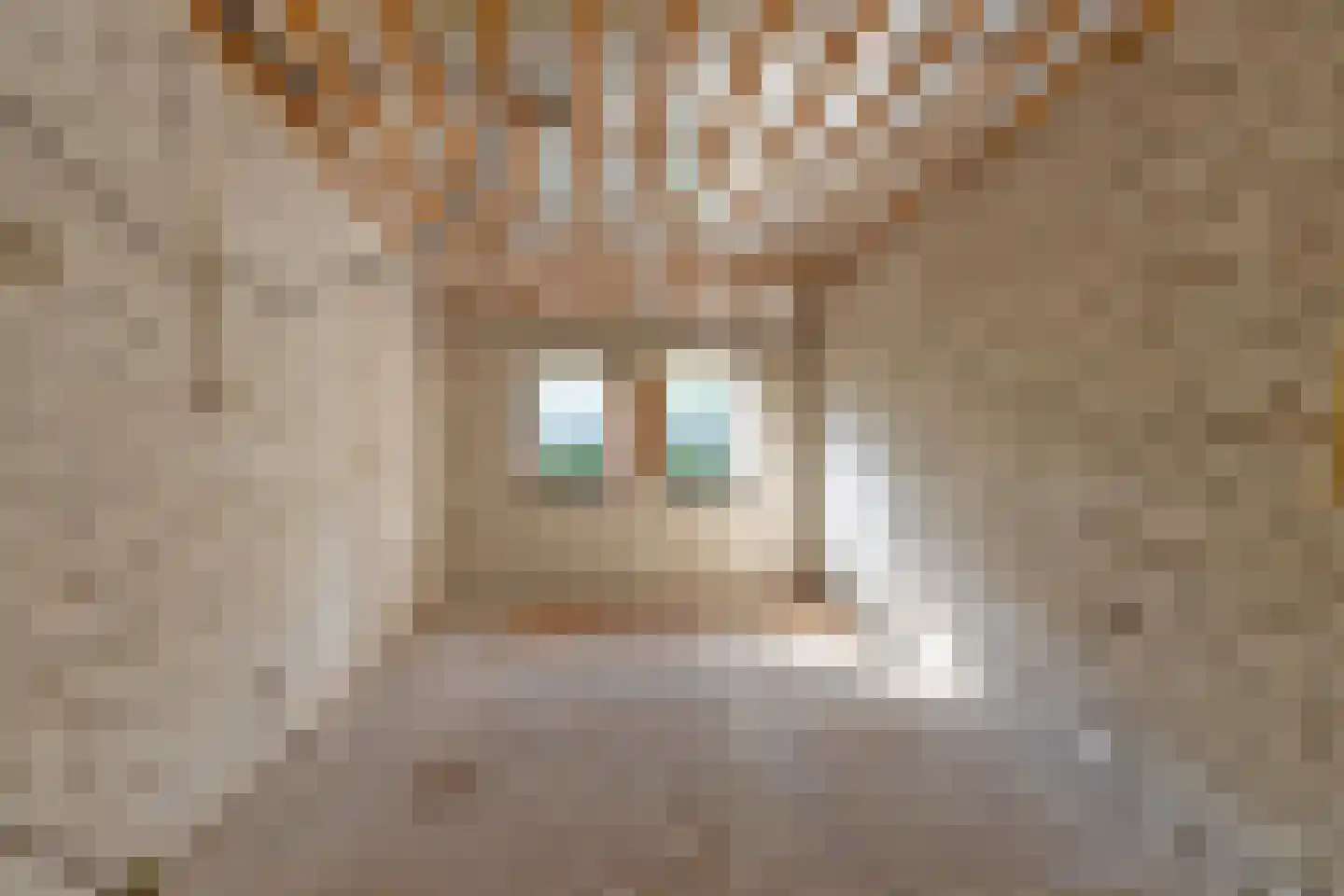 Oostereind 4 Grolloo thumbnail 23