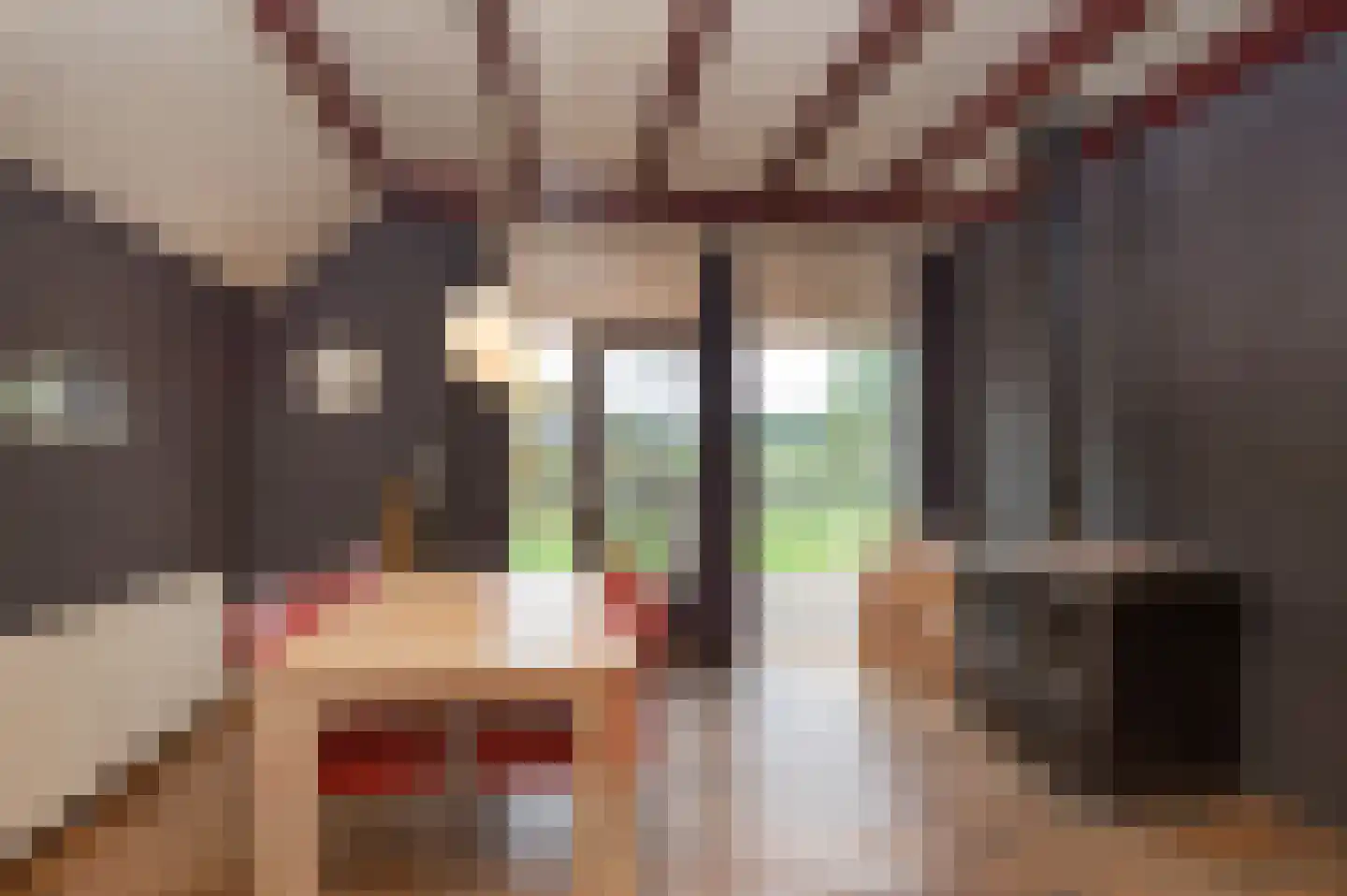 Oostereind 4 Grolloo thumbnail 32