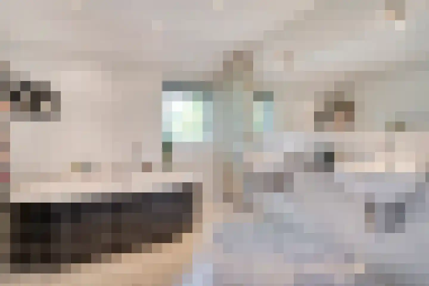 Oostereind 5 Grolloo thumbnail 37
