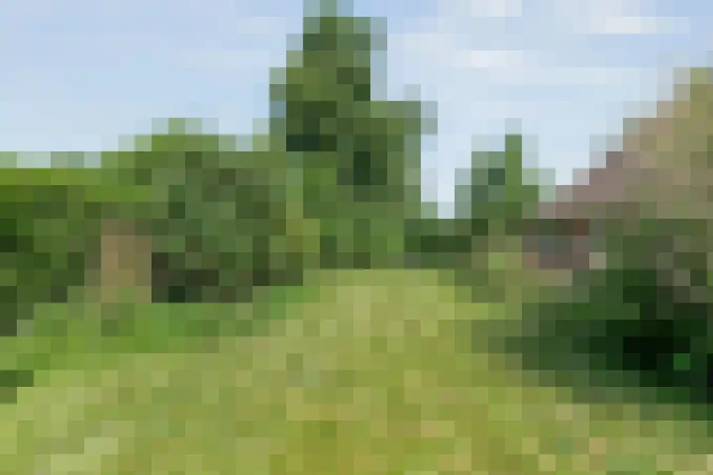 Oostereind 5 Grolloo thumbnail 67
