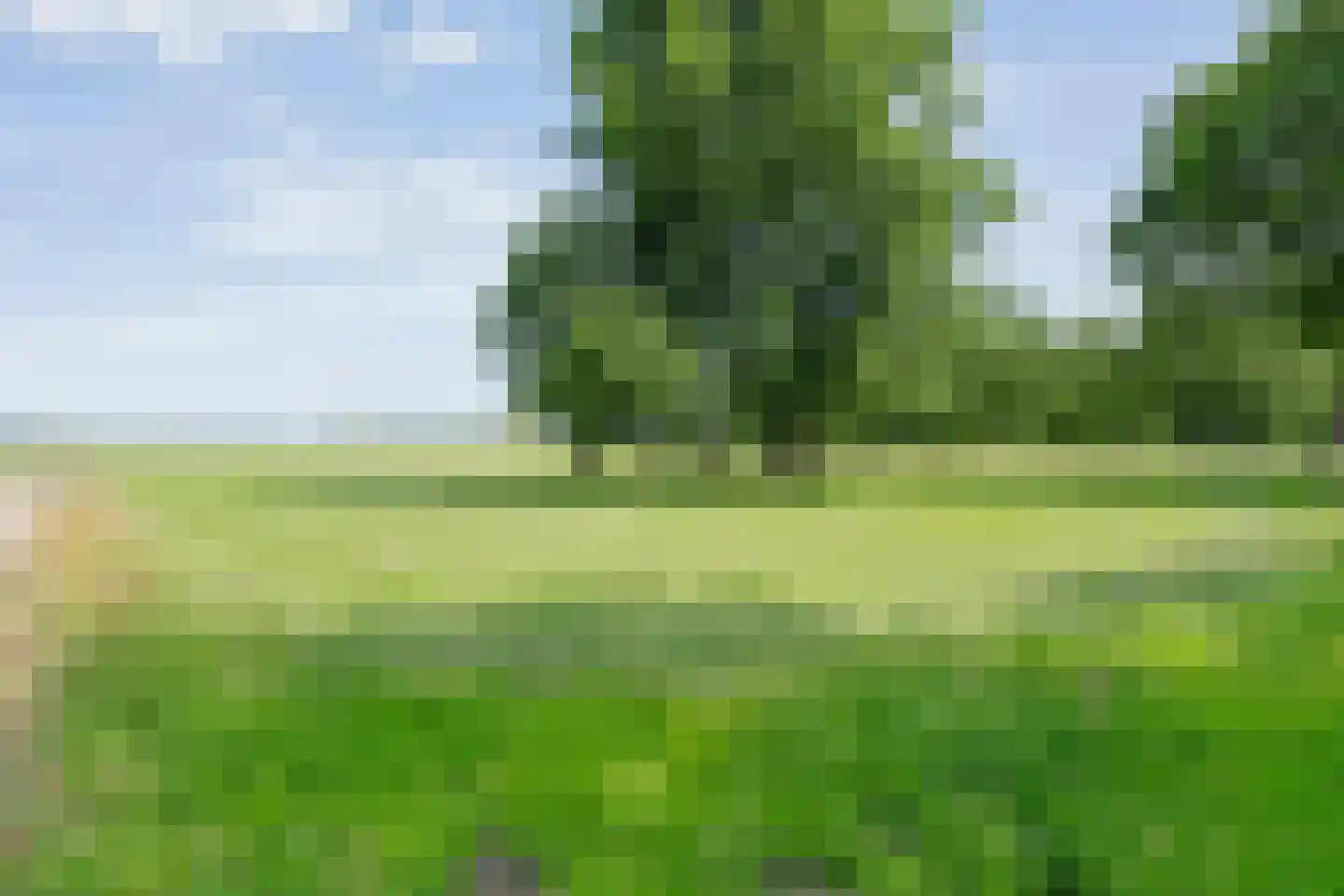 Oostereind 5 Grolloo thumbnail 69