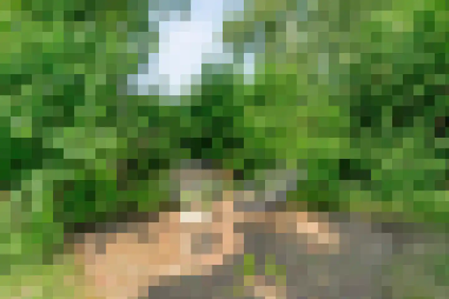 Oostereind 5 Grolloo thumbnail 71