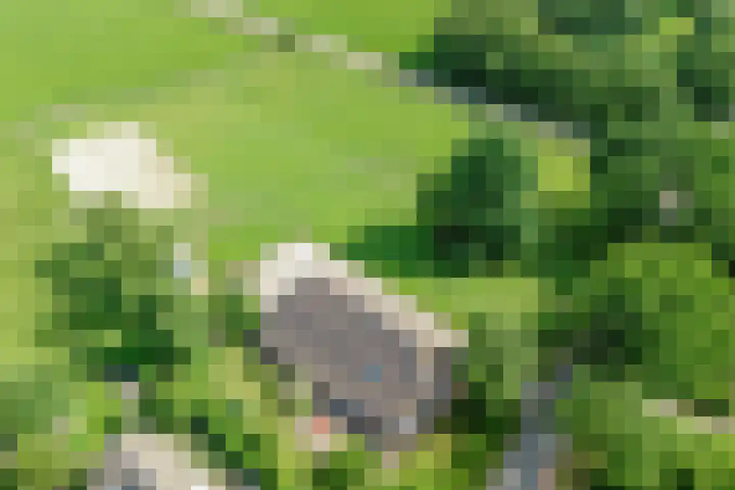Oostereind 5 Grolloo thumbnail 8