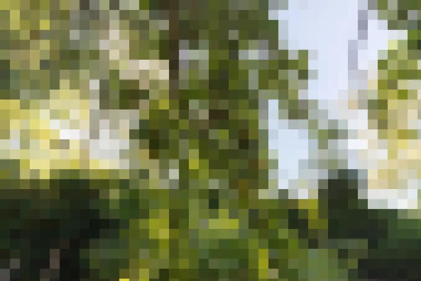 Oostereinde 15 A Winschoten thumbnail 60