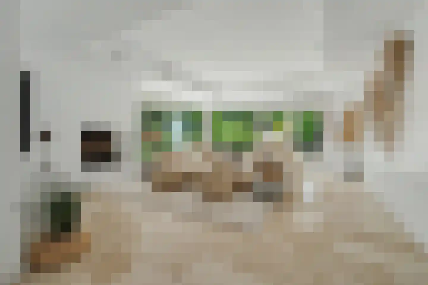 Oosterenbanweg 44 Renesse thumbnail 11