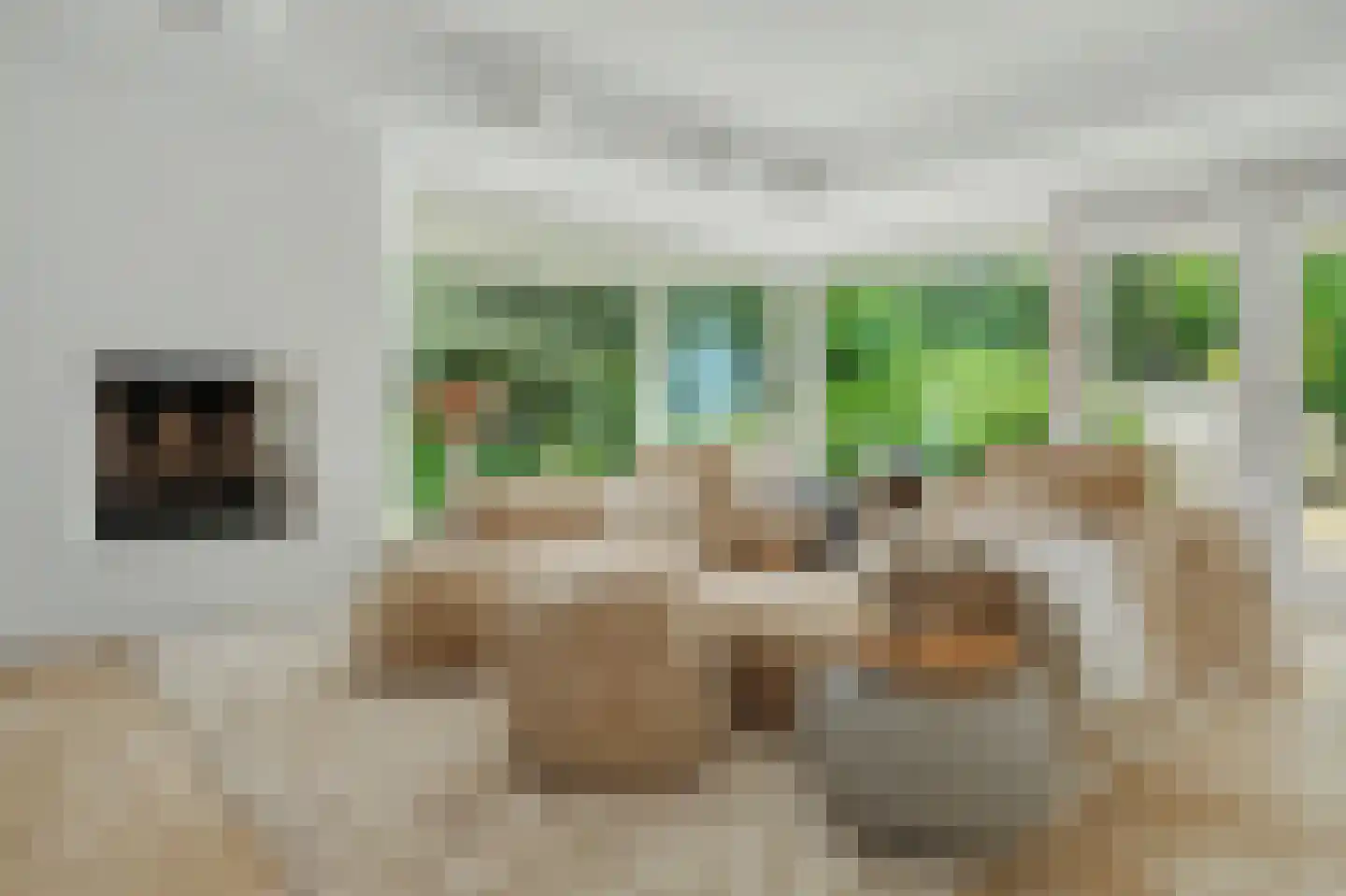 Oosterenbanweg 44 Renesse thumbnail 12