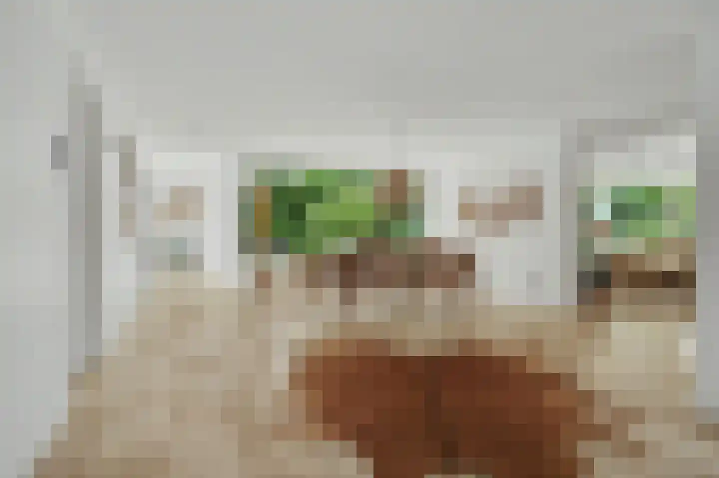 Oosterenbanweg 44 Renesse thumbnail 24