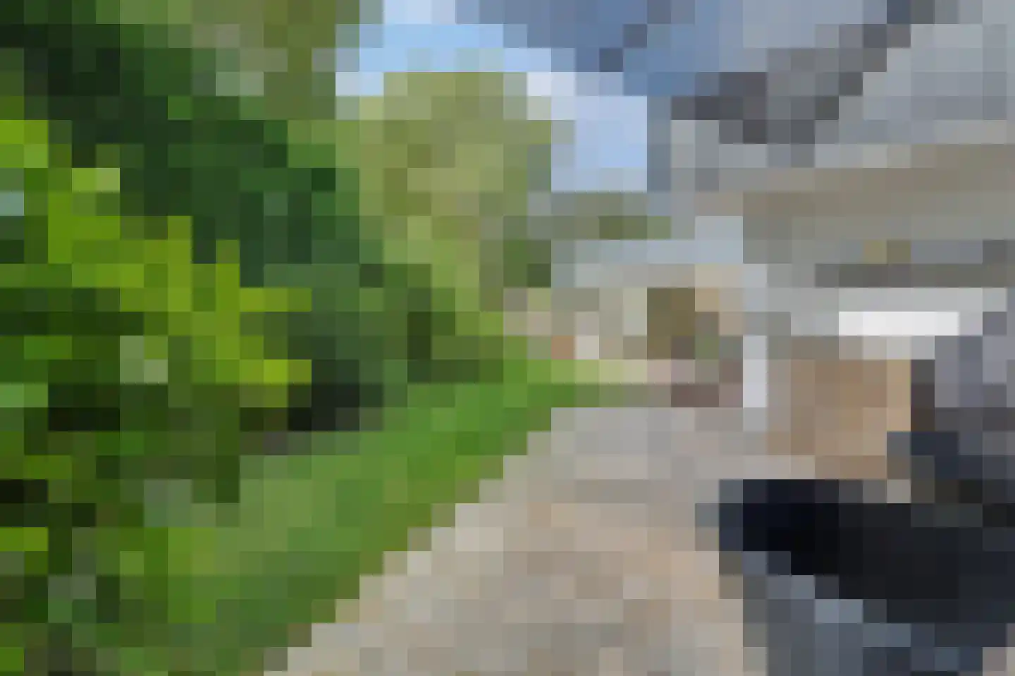 Oosterenbanweg 44 Renesse thumbnail 34