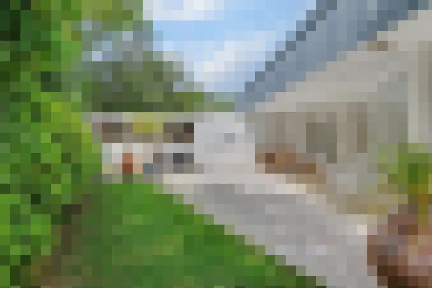 Oosterenbanweg 44 Renesse thumbnail 36