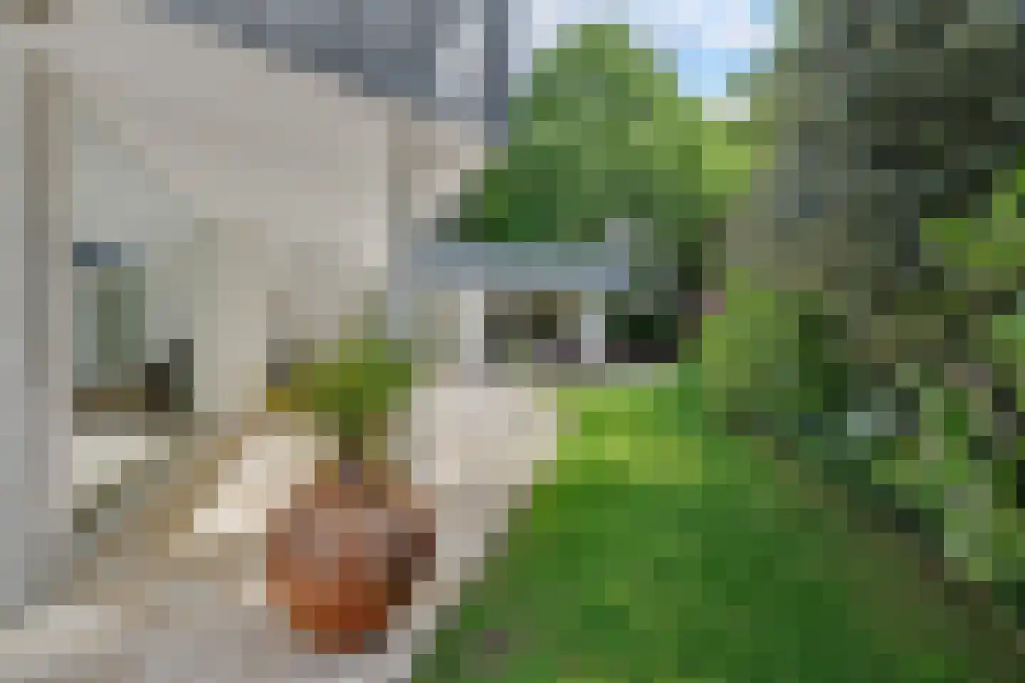 Oosterenbanweg 44 Renesse thumbnail 38