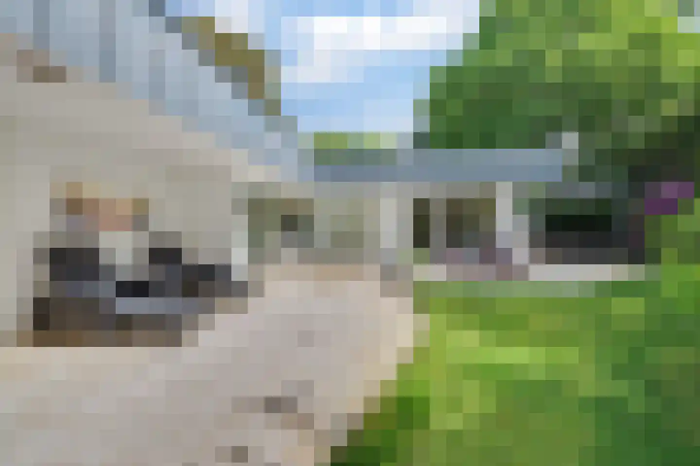 Oosterenbanweg 44 Renesse thumbnail 39