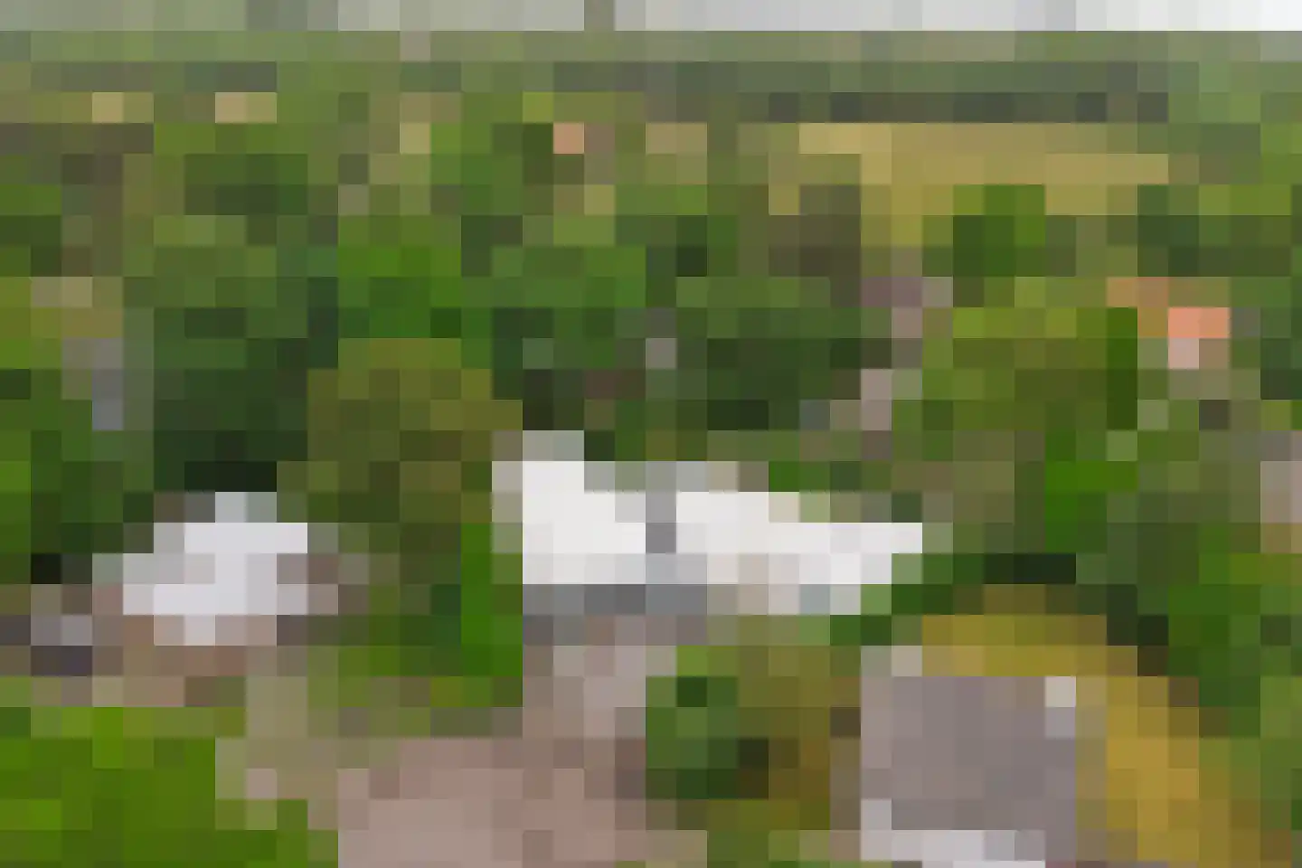 Oosterenbanweg 44 Renesse thumbnail 48