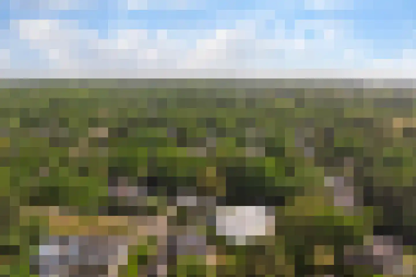 Oosterenbanweg 44 Renesse thumbnail 49