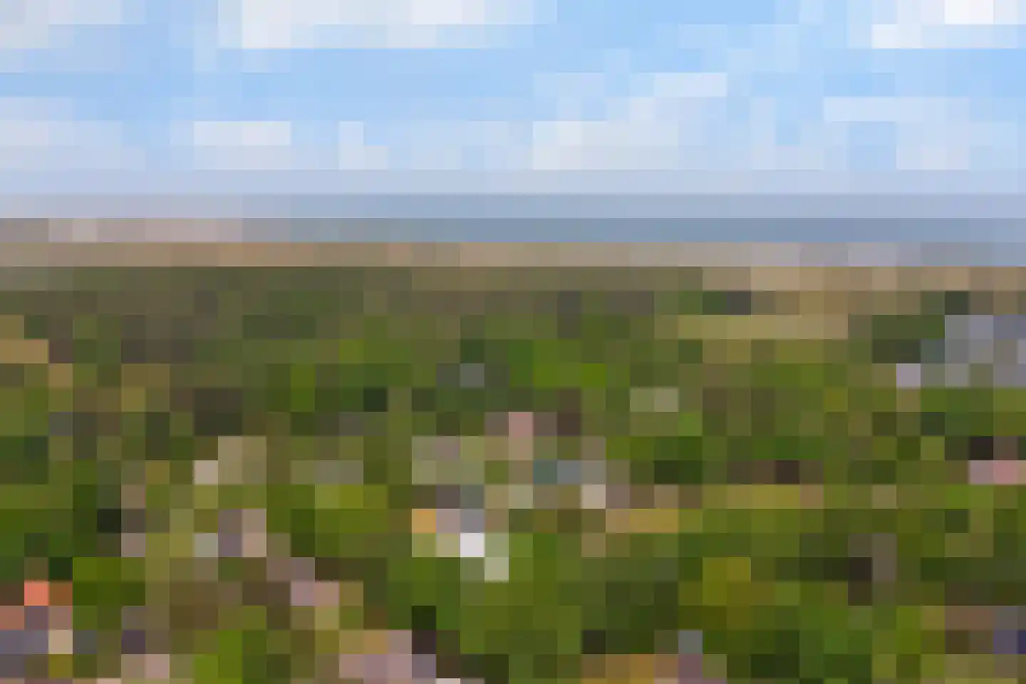 Oosterenbanweg 44 Renesse thumbnail 50