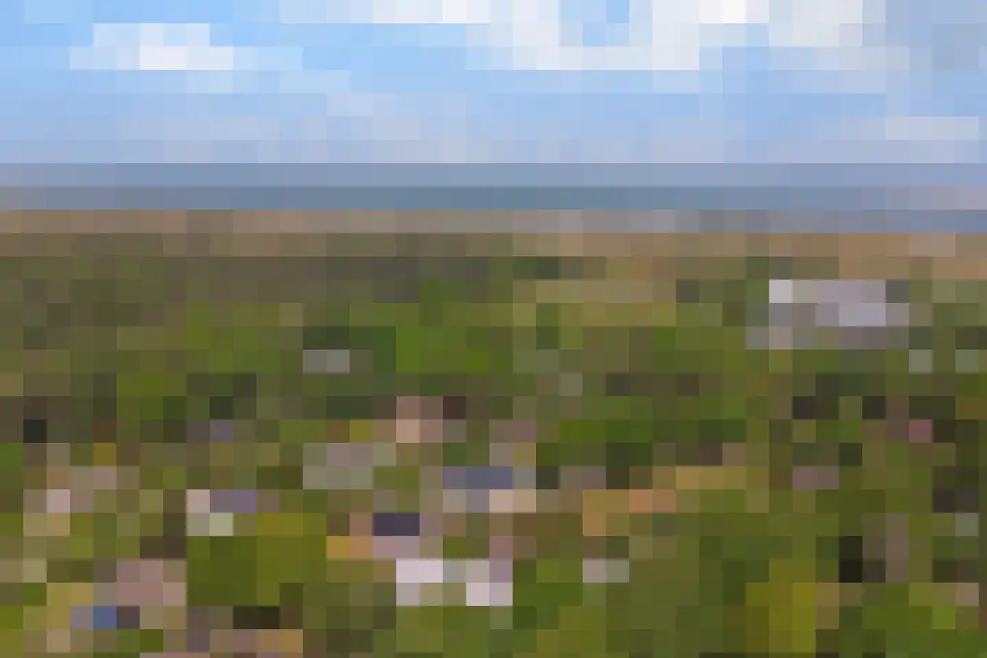 Oosterenbanweg 44 Renesse thumbnail 51