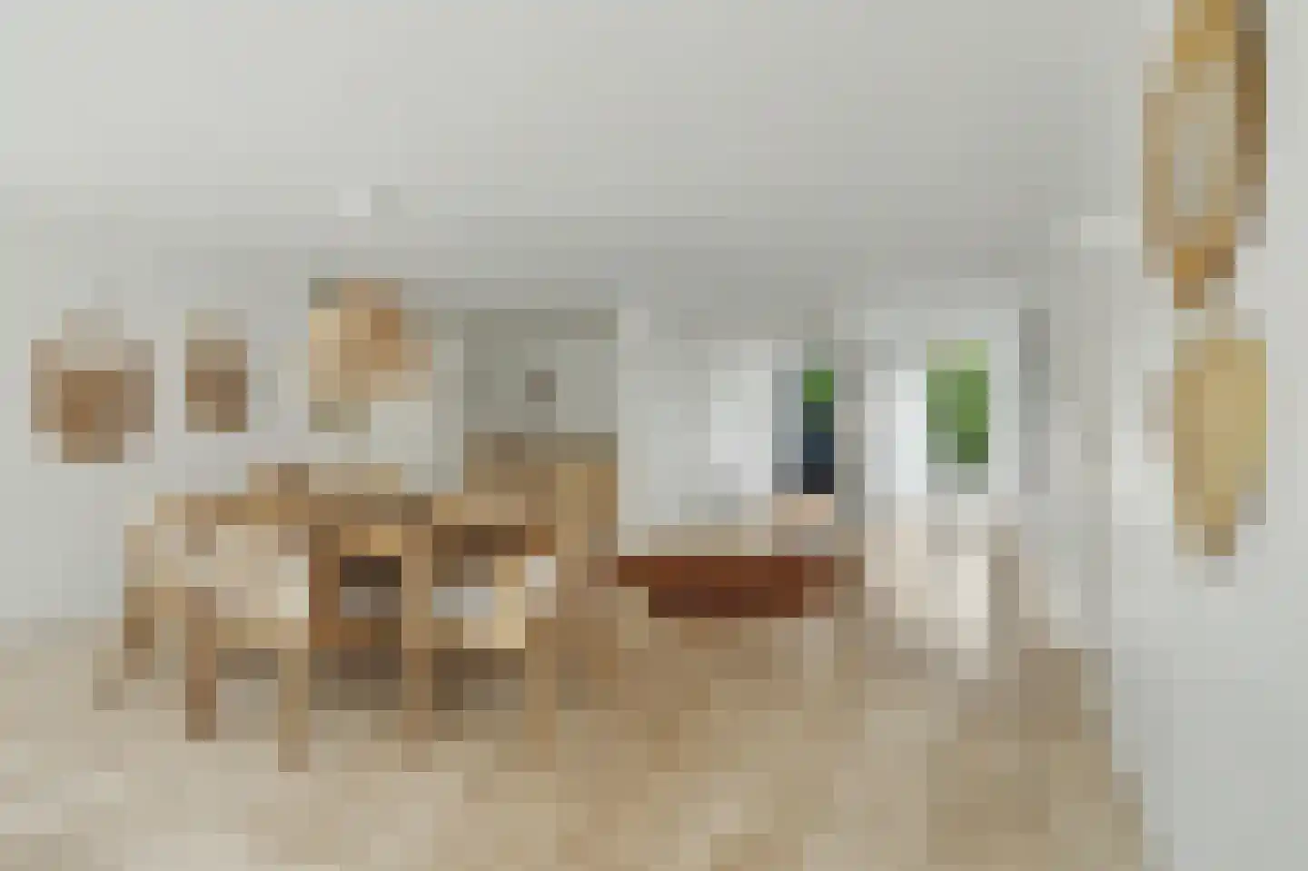 Oosterenbanweg 44 Renesse thumbnail 8