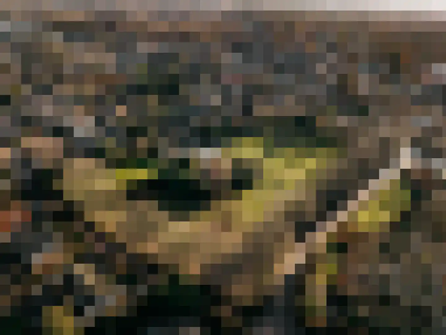 Oosterend 1 a Laren thumbnail 13