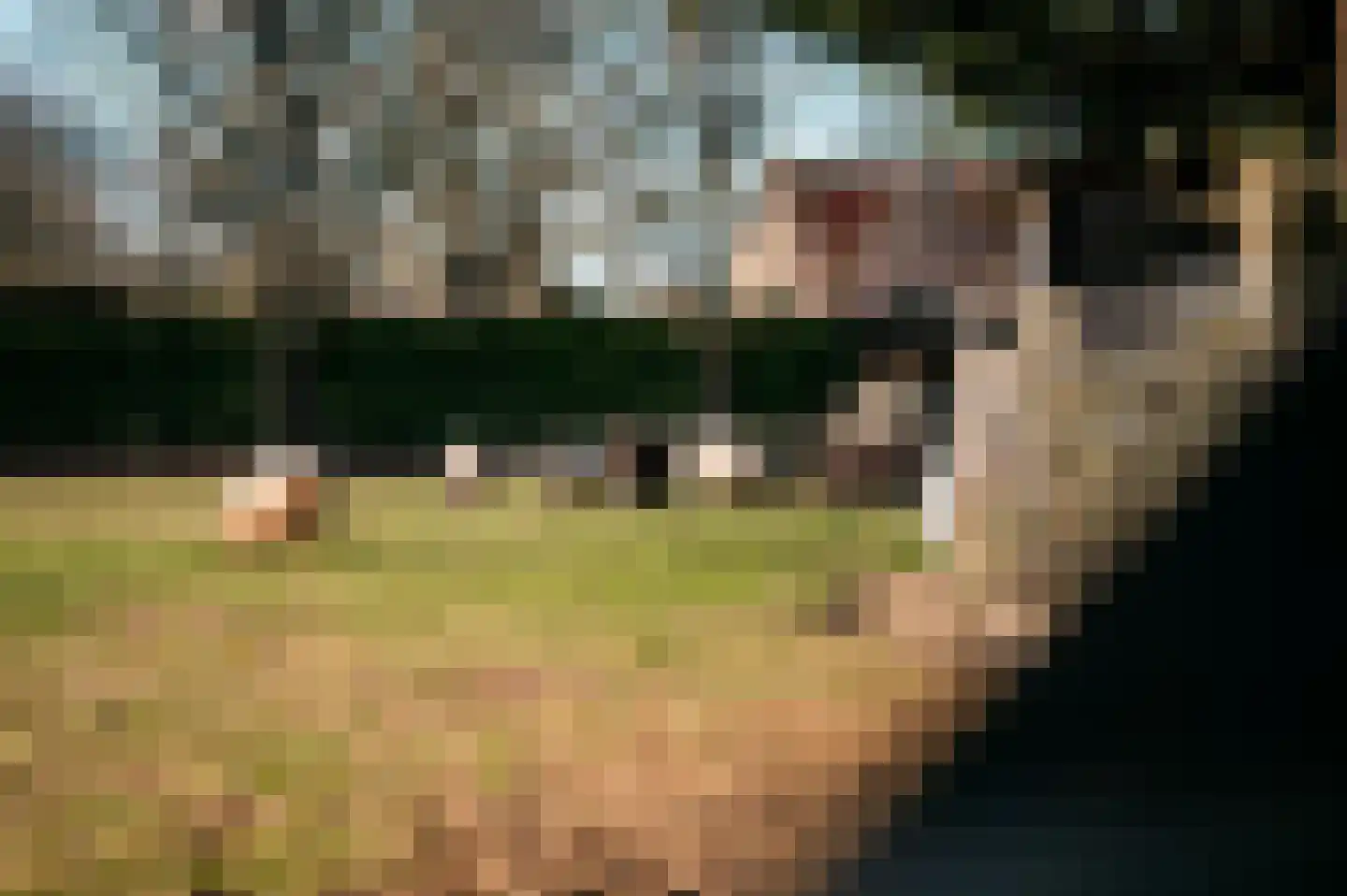 Oosterend 1 a Laren thumbnail 7