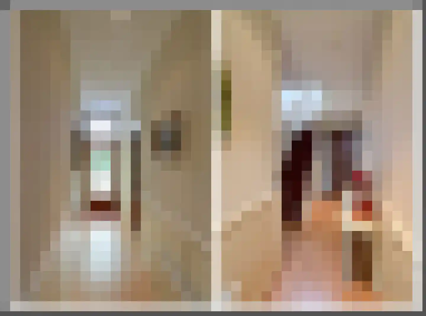 Oosterend 15 Laren thumbnail 10