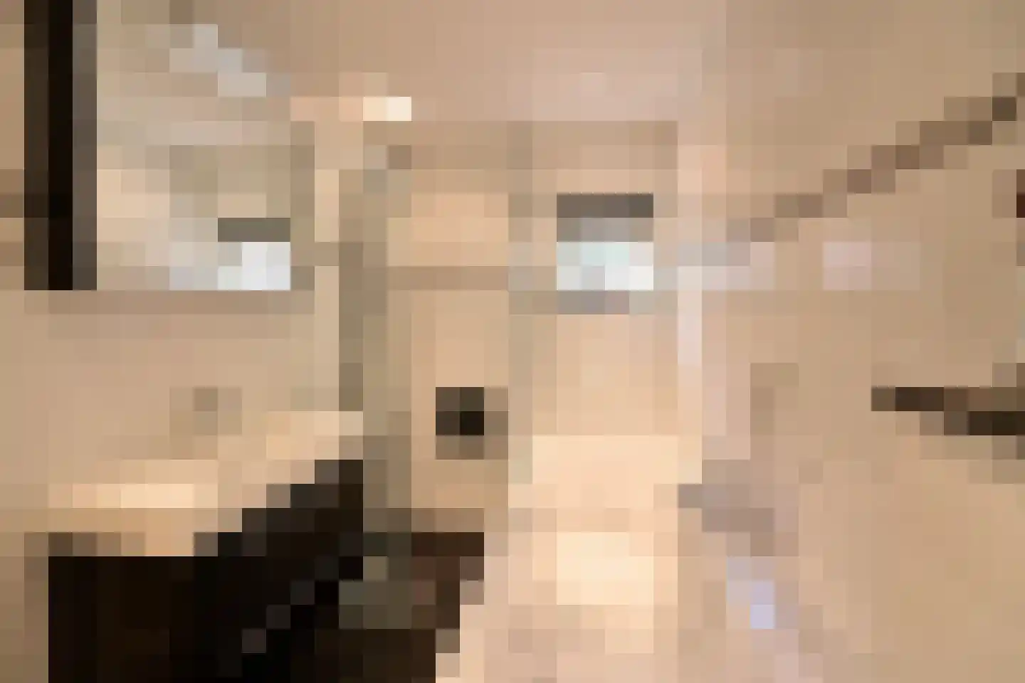 Oosterend 15 Laren thumbnail 11