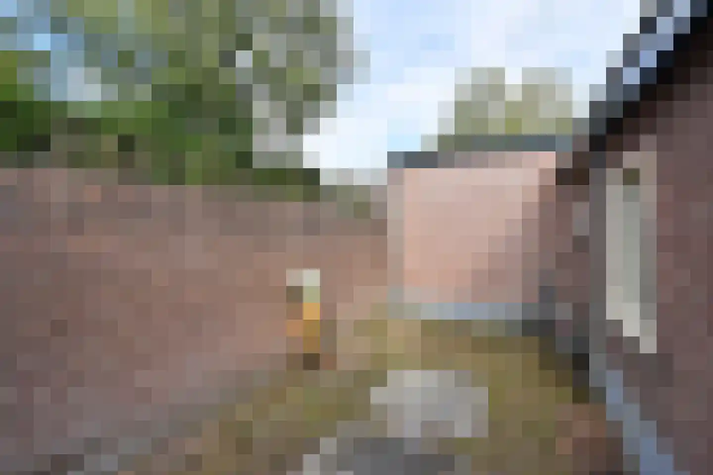 Oosterend 15 Laren thumbnail 15