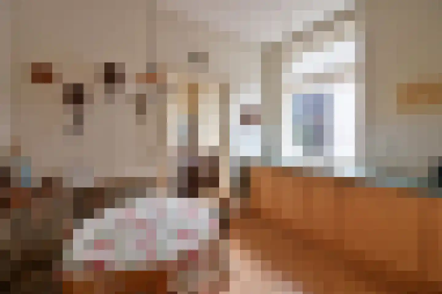 Oosterend 15 Laren thumbnail 6