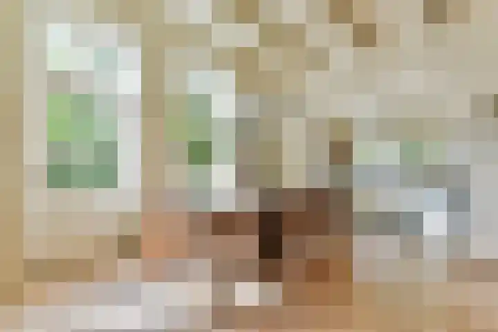 Oosterend 17 Laren thumbnail 18