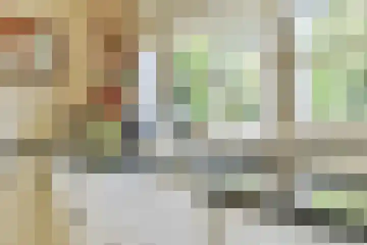 Oosterend 17 Laren thumbnail 21