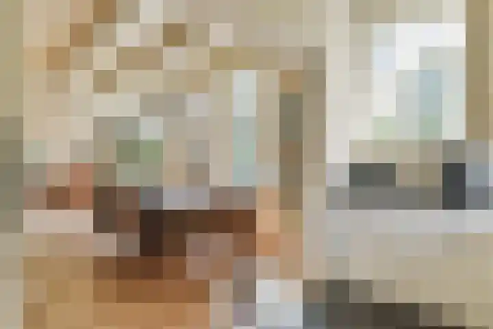 Oosterend 17 Laren thumbnail 22