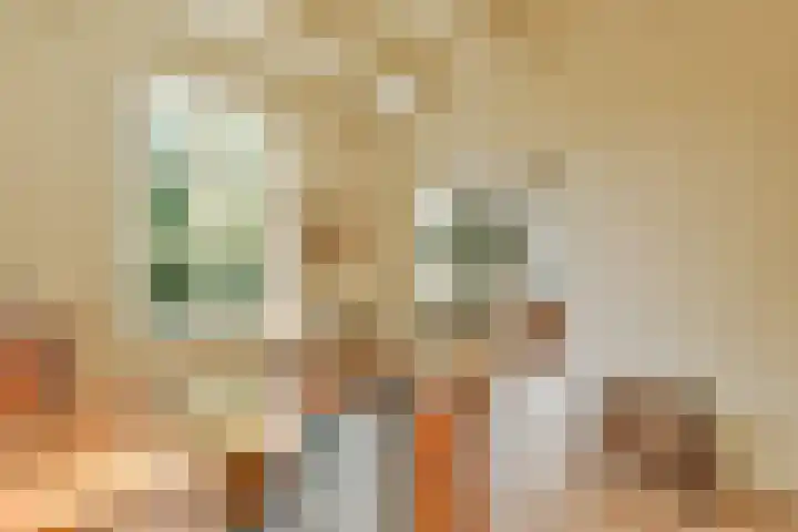 Oosterend 17 Laren thumbnail 24