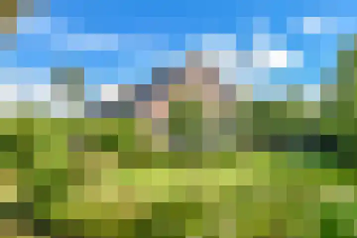 Oosterend 17 Laren thumbnail 27