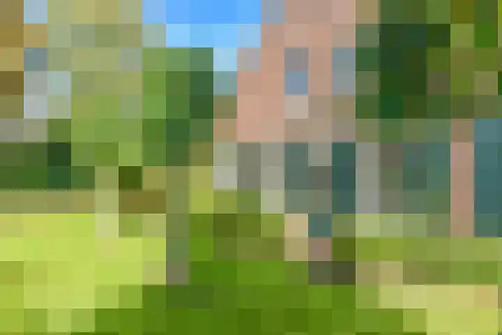 Oosterend 17 Laren thumbnail 31