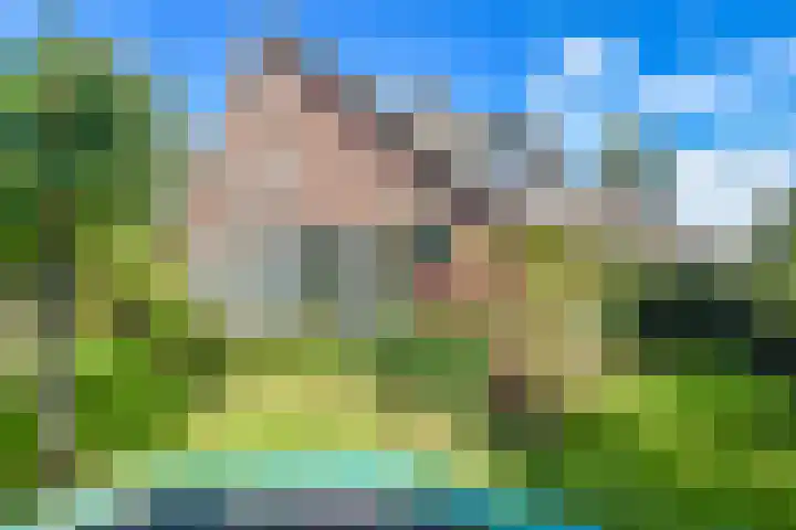 Oosterend 17 Laren thumbnail 33