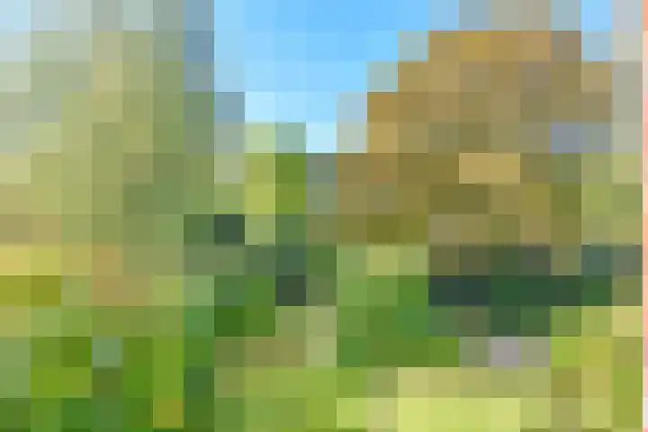 Oosterend 17 Laren thumbnail 34