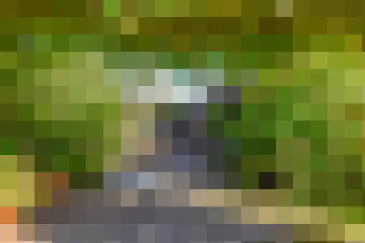 Oosterend 17 Laren thumbnail 43