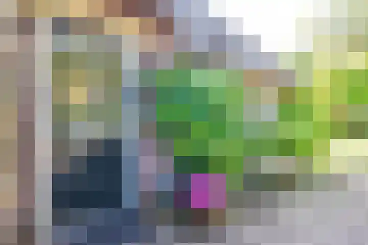 Oosterend 17 Laren thumbnail 45