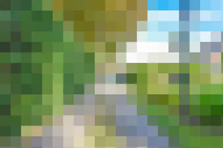 Oosterend 17 Laren thumbnail 47