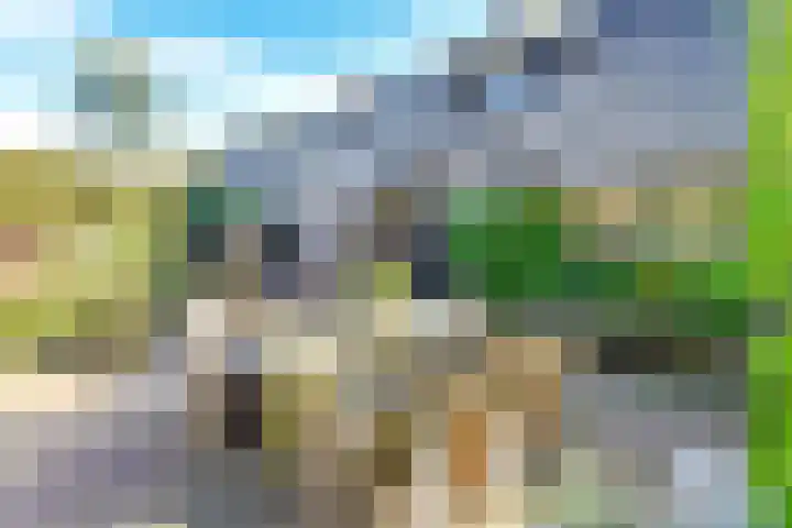 Oosterend 17 Laren thumbnail 7