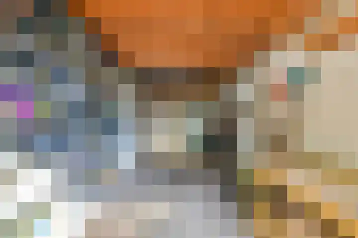 Oosterend 17 Laren thumbnail 74
