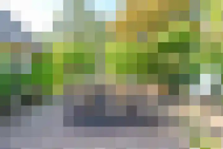 Oosterend 17 Laren thumbnail 9