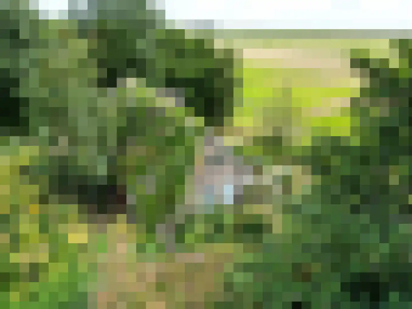 Oosterend 2 A Oosterend thumbnail 10
