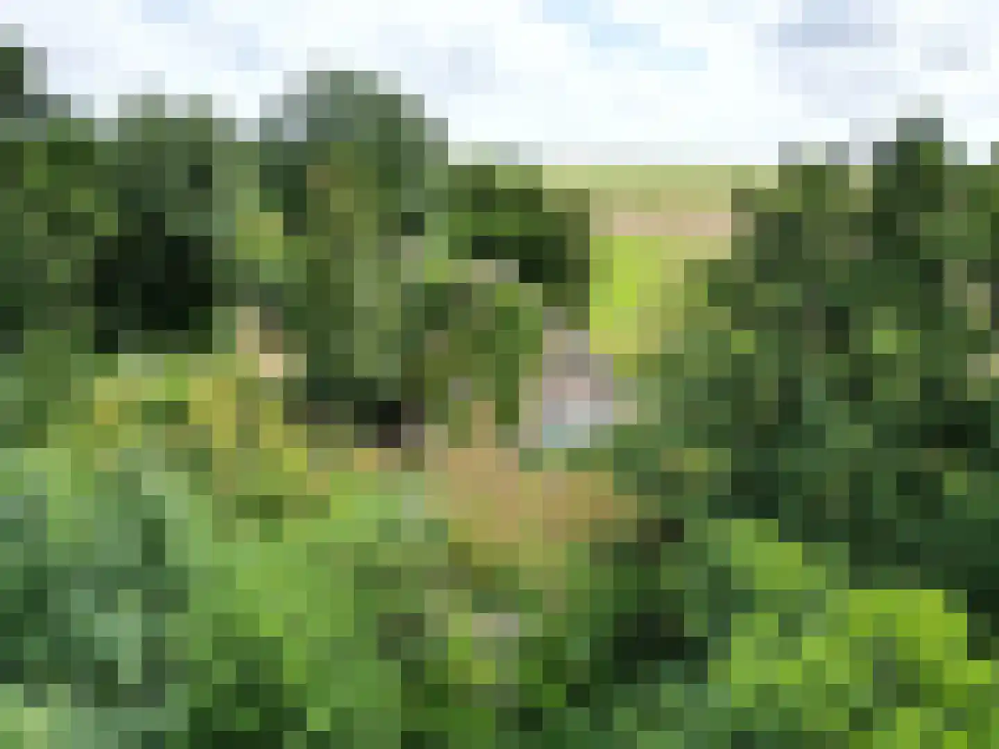 Oosterend 2 A Oosterend thumbnail 11