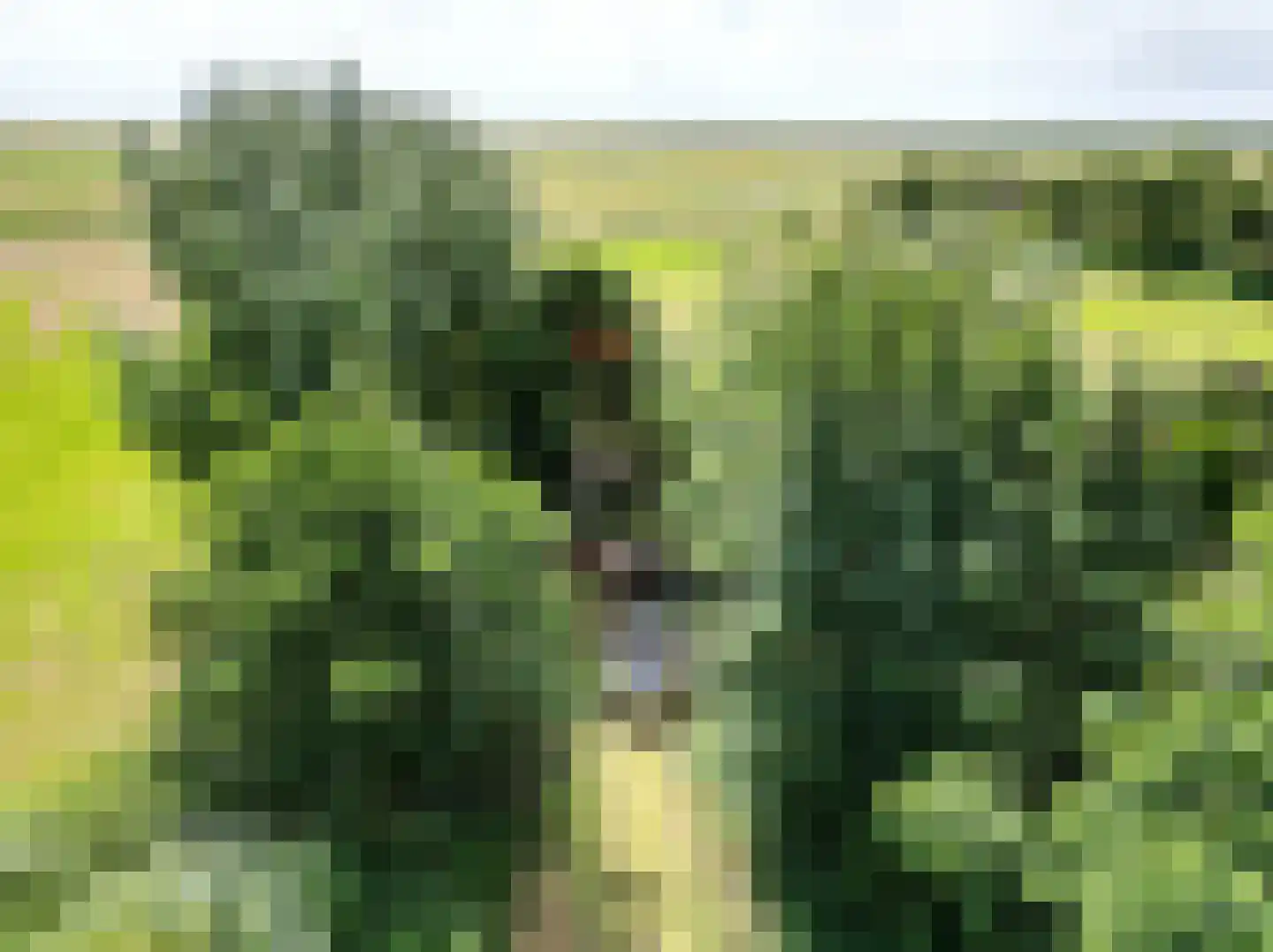 Oosterend 2 A Oosterend thumbnail 12
