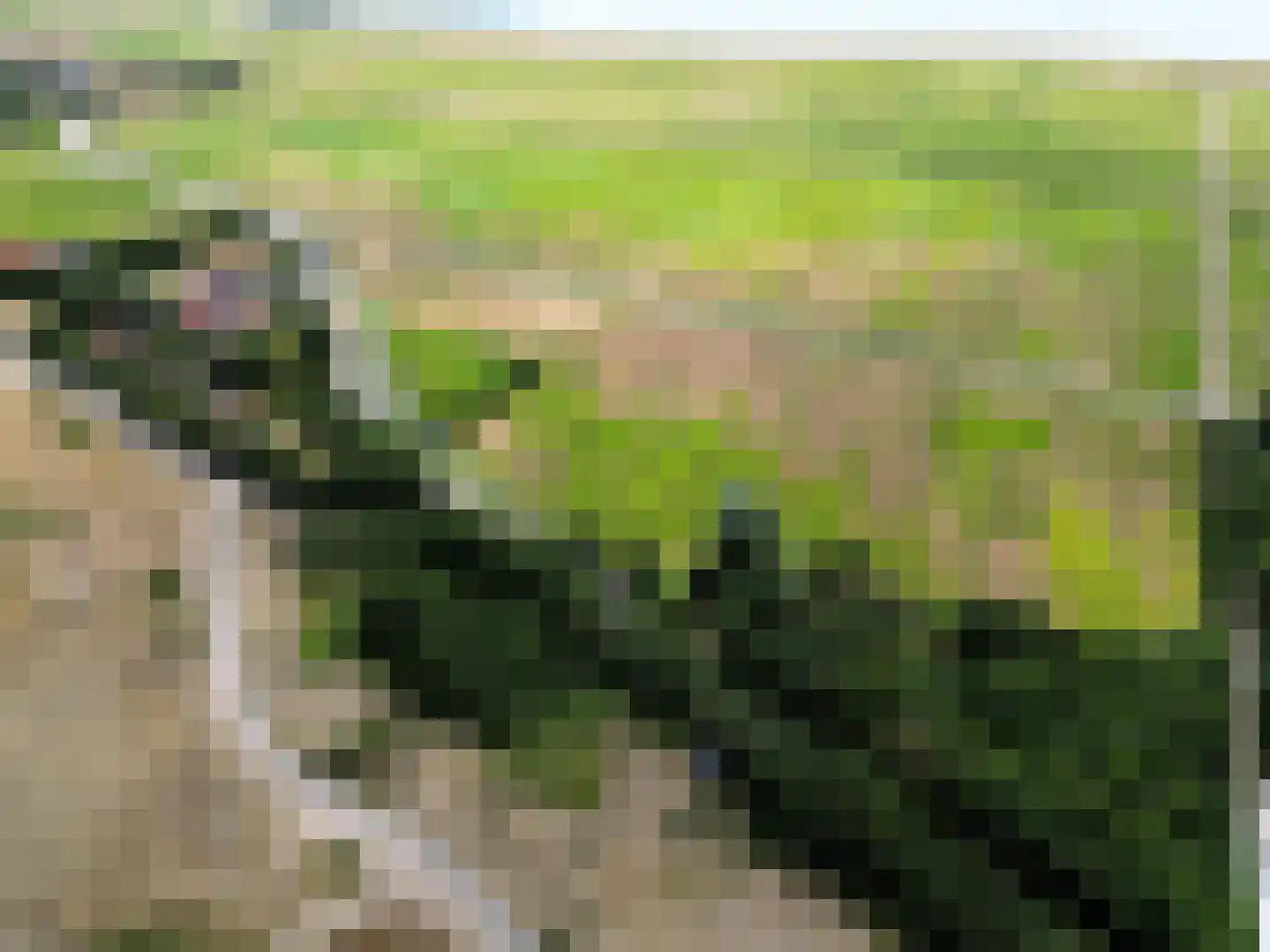 Oosterend 2 A Oosterend thumbnail 13