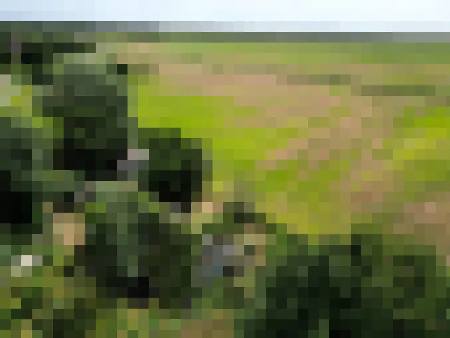 Oosterend 2 A Oosterend thumbnail 4