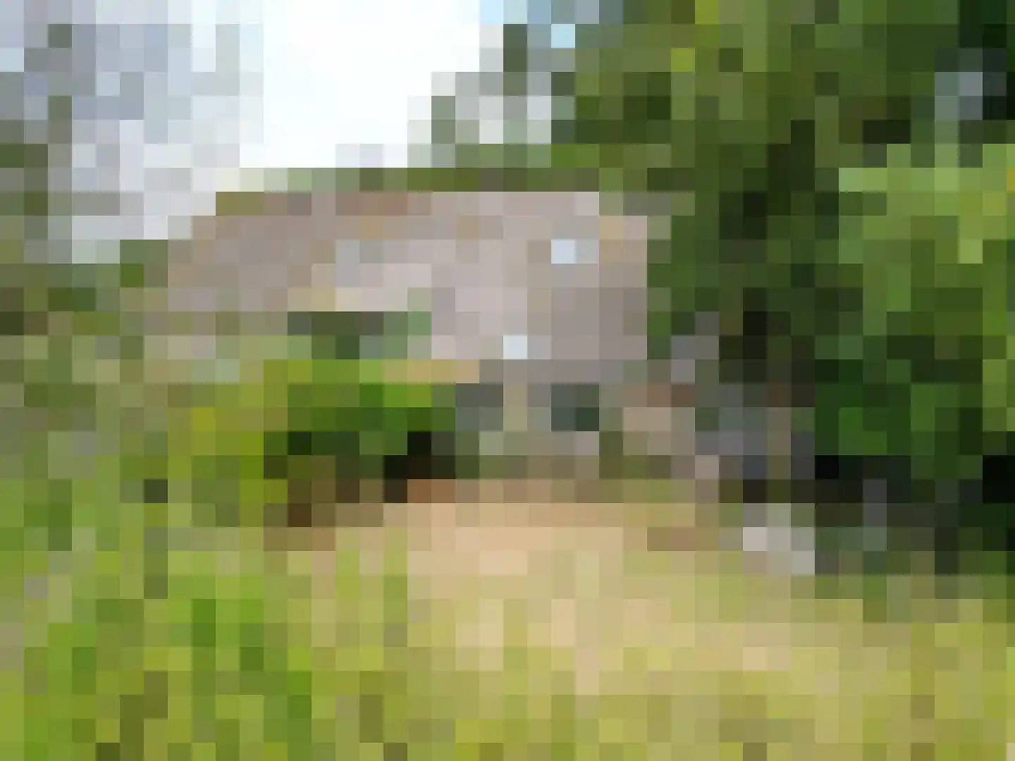 Oosterend 2 A Oosterend thumbnail 5